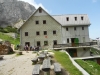 grintavec-junij-j2015-011