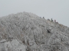grintavec-junij-j2015-027