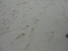 dscn0299