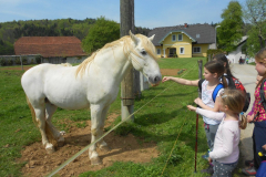 Planinski izlet, izvir Krke