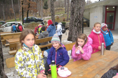 4. planinski izlet, Zaledje Tržaškega zaliva