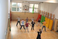 Plesni športni dan