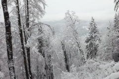 Pohod na goro Oljka, 3. 2. 2018