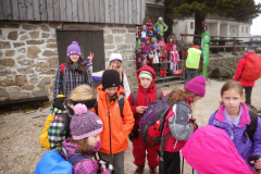 Velika planina 2014